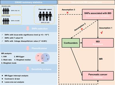 Association between inflammatory bowel disease and pancreatic cancer: results from the two-sample Mendelian randomization study